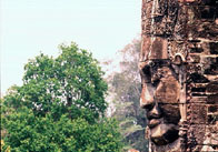CambogiaDiario10.jpg (7397 byte)