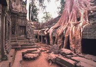 CambogiaDiario13.jpg (7377 byte)