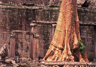 CambogiaDiario17.jpg (8112 byte)