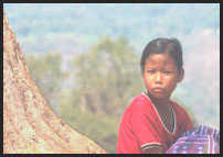 WatPhuDiario_7.jpg (5637 byte)
