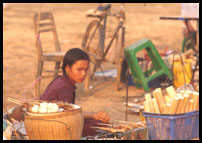 WatPhuDiario_9.jpg (7523 byte)